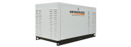 Генератор газовий Generac SG 104 - фото 1