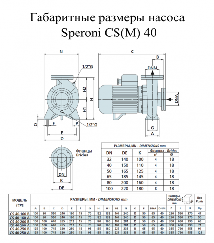 Насос поверхневий Speroni CS 40-250 A (101801460) - фото 2
