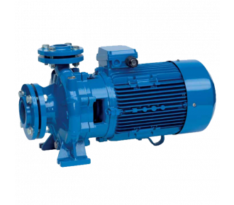 Насос поверхностный Speroni CS 50-160 B(101802290) Насос поверхностный Speroni CS 50-160 B(101802290)