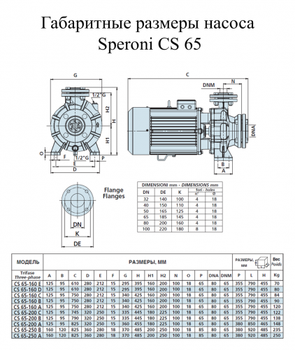 Насос поверхностный Speroni CS 65-200 C(101803430) - фото 2