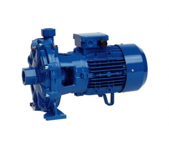 Насос поверхностный Speroni 2C 25/160C(101082610)