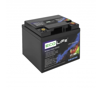 Аккумуляторная батарея EcoLiFe 12-50 Аккумуляторная батарея EcoLiFe 12-50