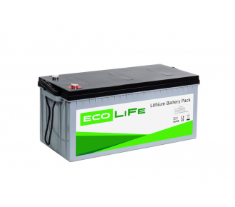 Аккумуляторная батарея EcoLiFe 12-150 Аккумуляторная батарея EcoLiFe 12-150