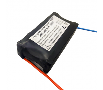 Аккумуляторная батарея BMS ECO mini 2406 Аккумуляторная батарея BMS ECO mini 2406