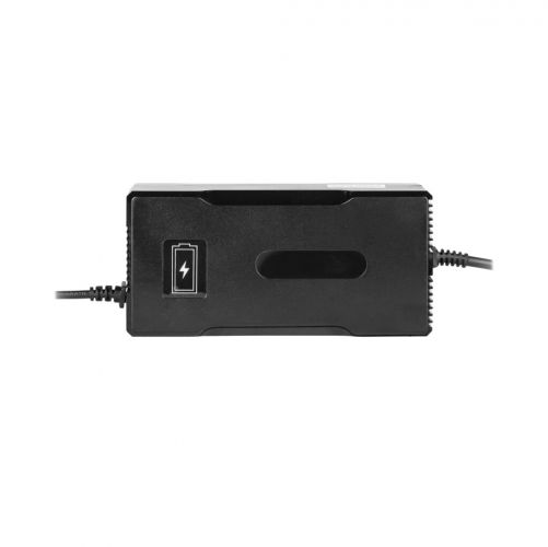 Зарядний пристрій для акумуляторів LogicPower LiFePO4 48V (58.4V)-4A-192W - фото 1